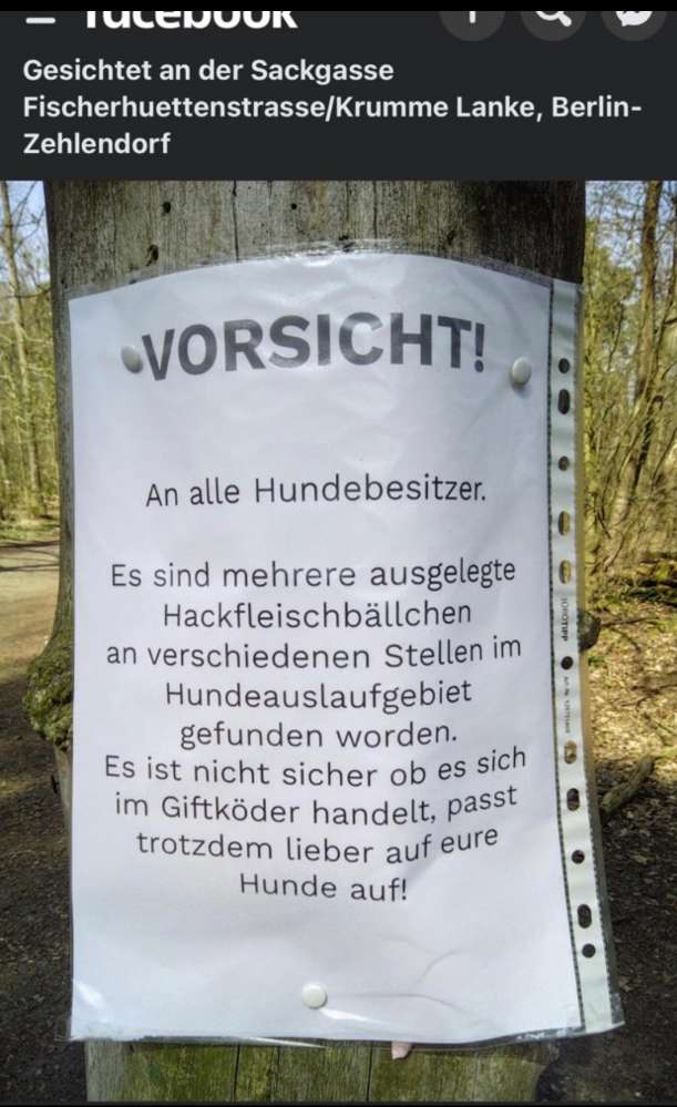 Giftköder-Eventuelle Giftköder.-Profilbild