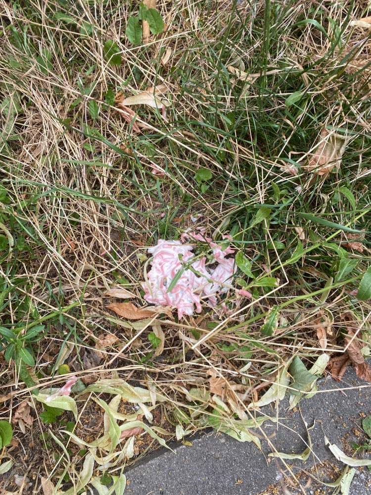 Giftköder-Giftköder - Wurstsalat-Profilbild