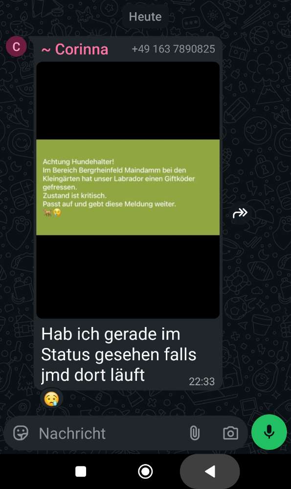 Giftköder-Giftköder-Profilbild