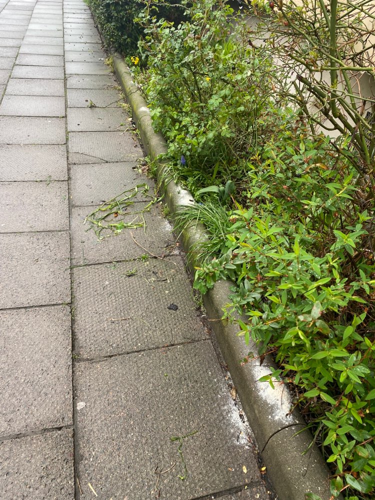 Giftköder-Weißes Pulver auf Beetbegrenzung-Profilbild