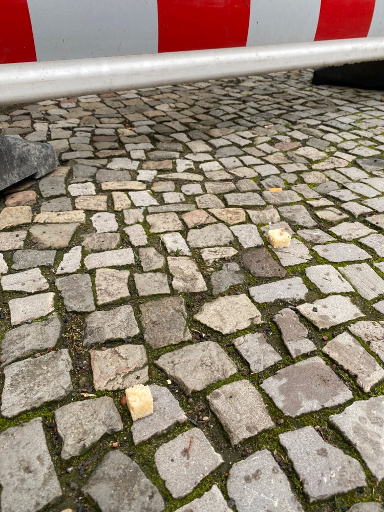 Giftköder-Wiederholt potentielle Giftköder-Profilbild