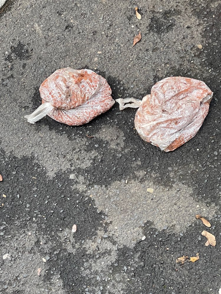 Giftköder-Giftköder-Profilbild