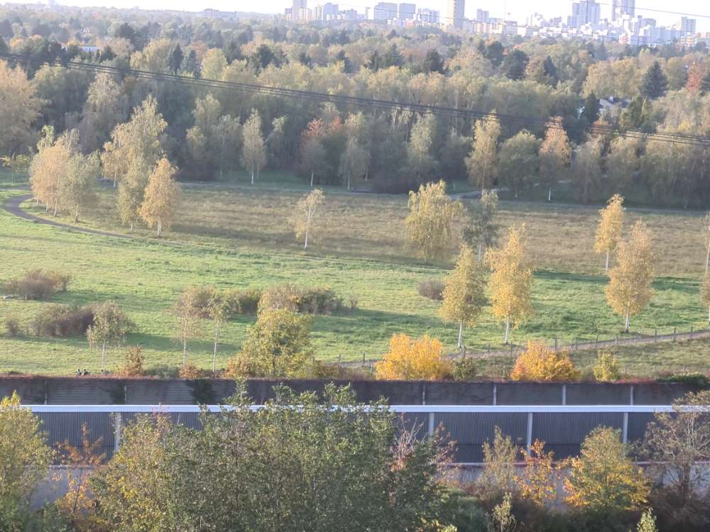 Giftköder-Giftköder-Profilbild