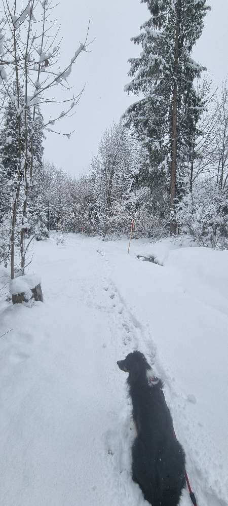 Nochmal Winter. Banner