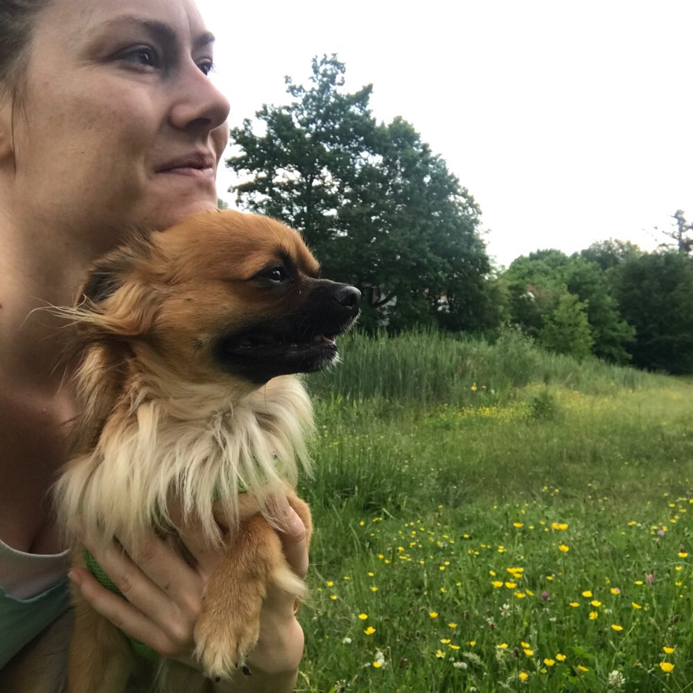 Hundetreffen-Langenhorn Spazieren und Spielen-Profilbild