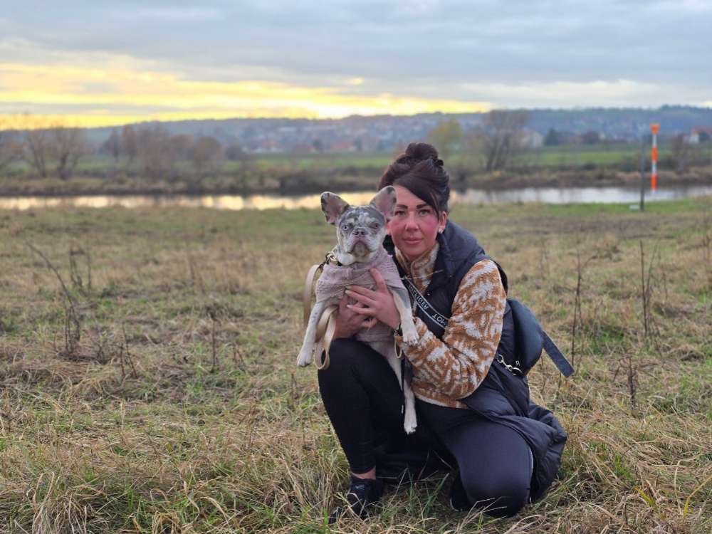 Hundetreffen-Franzi Welpe sucht Freunde für Gassirunde :)-Profilbild