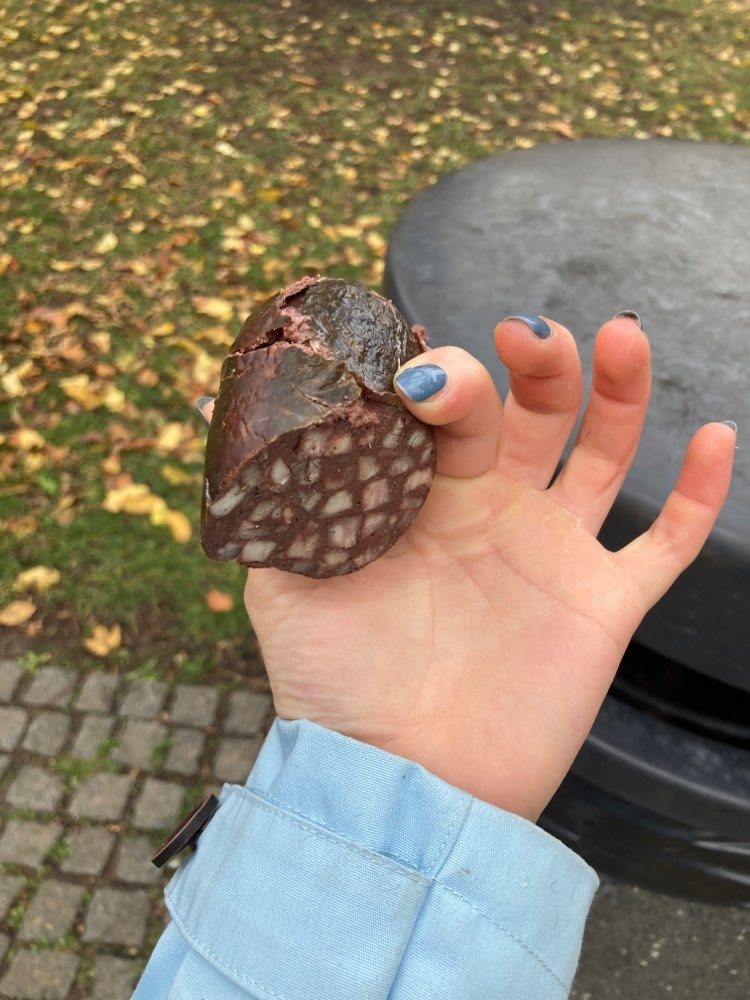 Giftköder-Ausgelegte Wurst-Profilbild