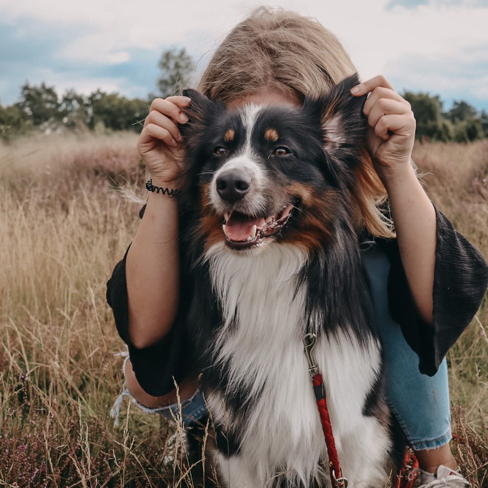 Hundetreffen-Gemeinsame Spaziergänge-Profilbild