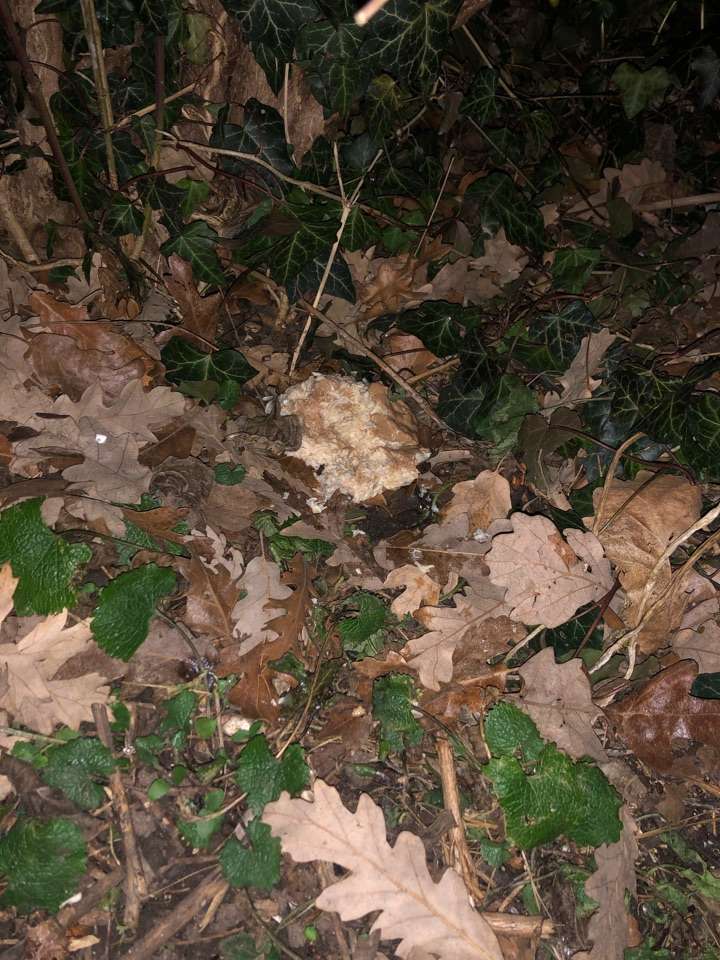 Giftköder-Verdächtige Masse-Profilbild