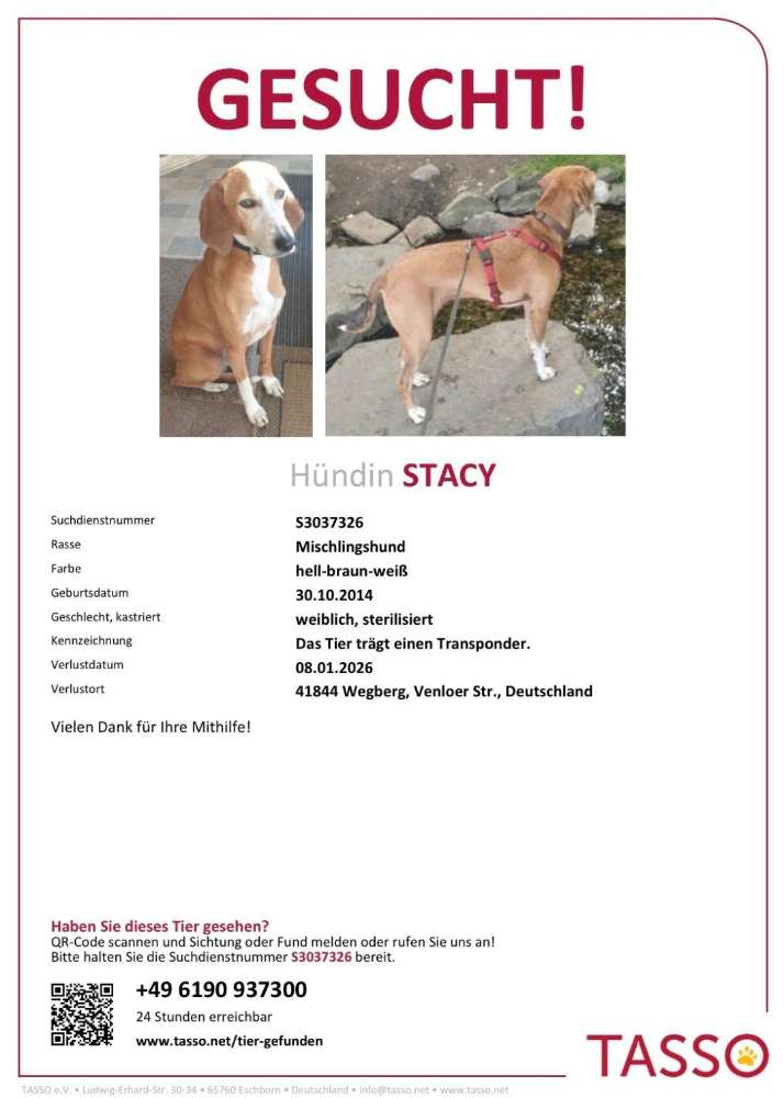 Suchmeldung-Stacy-Profilbild