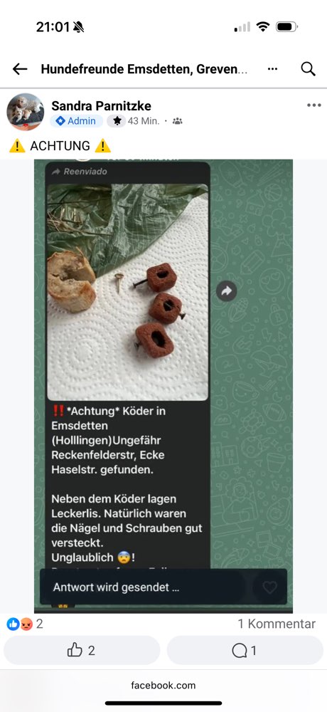 Giftköder-Giftköder-Profilbild
