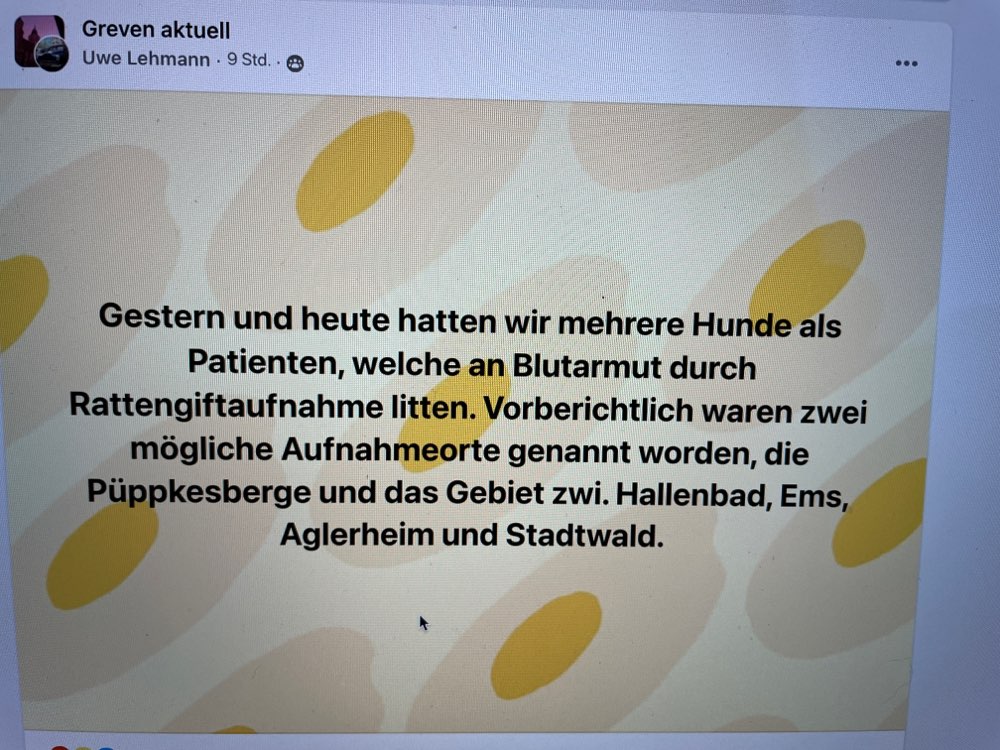 Giftköder-Giftköder (wahrscheinlich Rattengift)-Profilbild