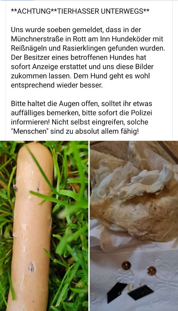 Giftköder-Wiener mit Nägel und Rasierklingen-Profilbild