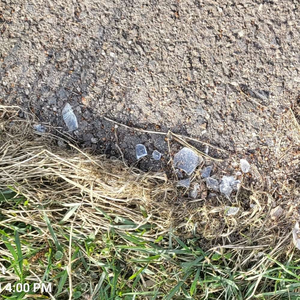 Giftköder-Glasscherben-Profilbild