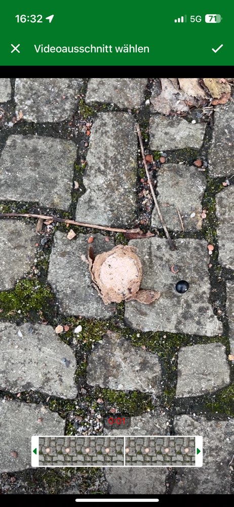 Giftköder-Giftköder unbekannt-Profilbild