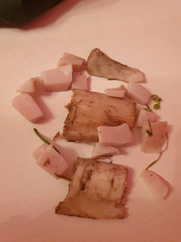 Giftköder-Weisser Speck und Knochensplitter-Profilbild