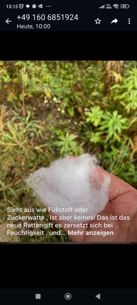 Giftköder-Eventuell Giftköder-Profilbild