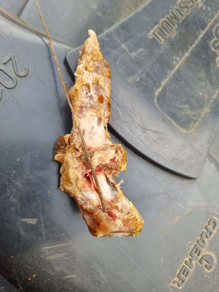 Giftköder-Steak /Reste-Profilbild