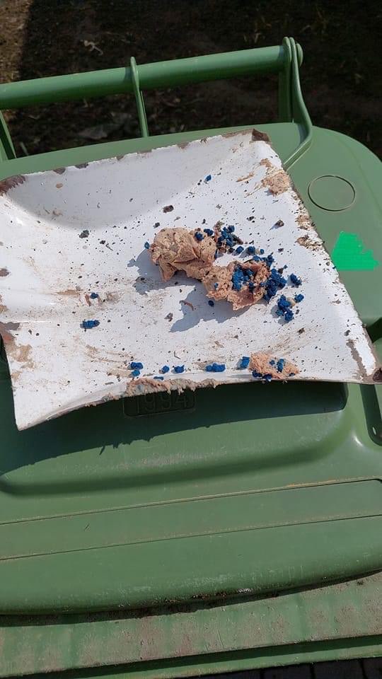 Giftköder-Giftköder-Profilbild