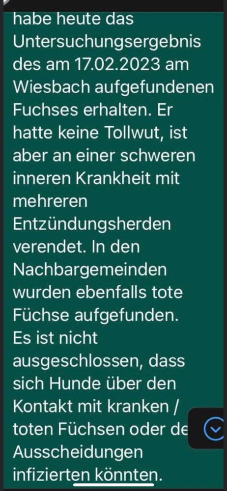 Giftköder-Tote Füchse-Profilbild