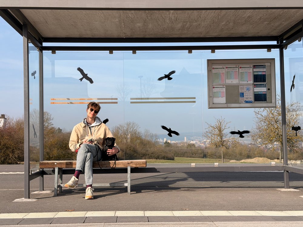 Hundetreffen-Welpentreffen / Spielrunde-Profilbild