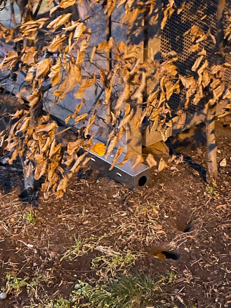 Giftköder-Rattengift-Profilbild