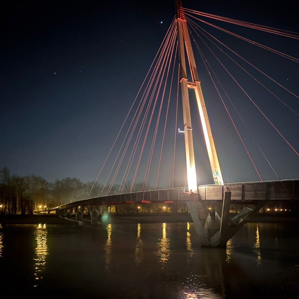 Hundetreffen-Gemütliche Hundespielstunde! Treff im Stadtpark Magdeburg an der Hundewiese!-Profilbild