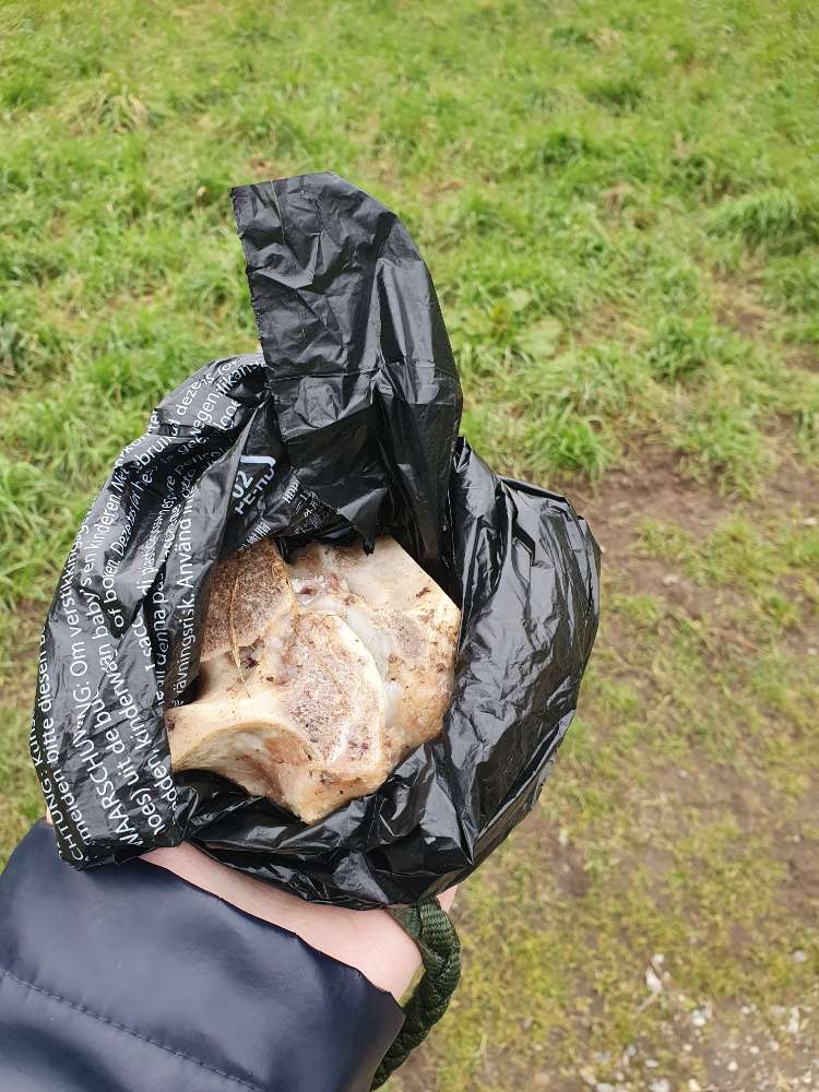Giftköder-Knochen auf Wiese und in Gebüschen-Profilbild