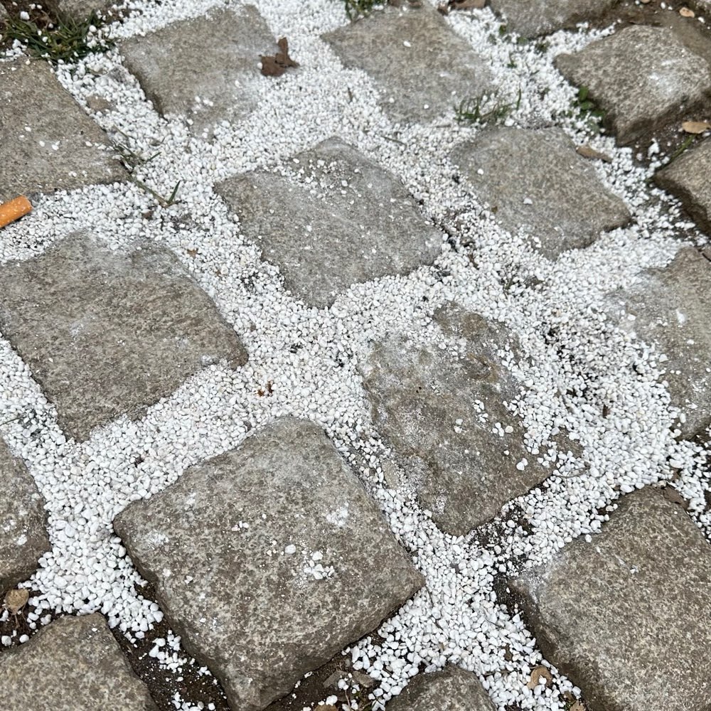 Giftköder-Evt. Giftköder-Profilbild