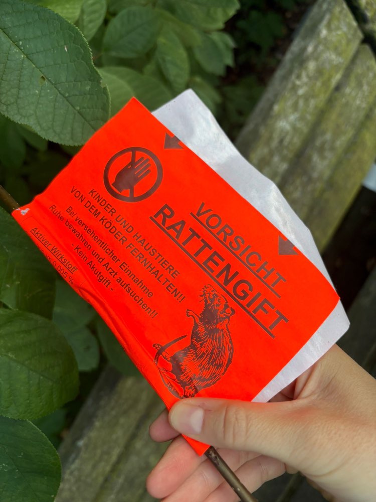 Giftköder-Rattengift-Profilbild