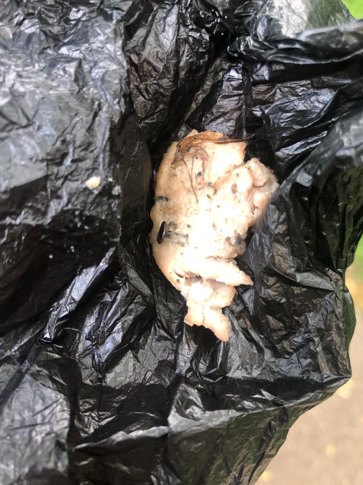 Giftköder-Köder gespickt mit Nägel-Profilbild