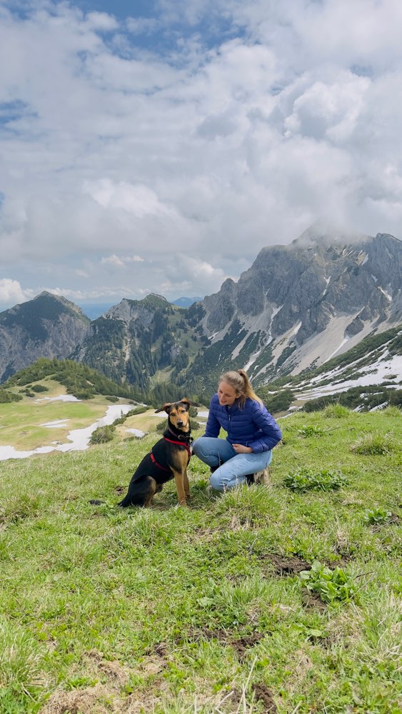 Hundetreffen-Spielen und spazieren gehen-Profilbild