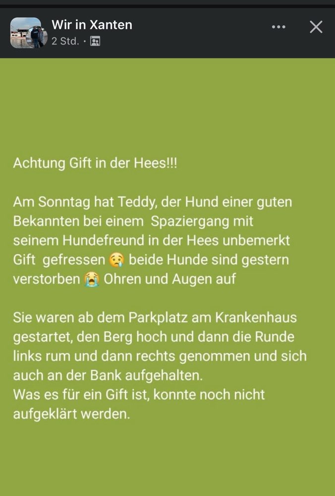 Giftköder-Gift-Profilbild