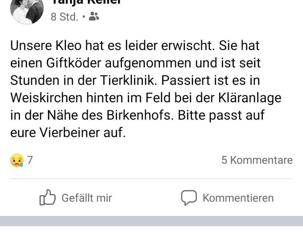 Giftköder-Giftköder-Profilbild