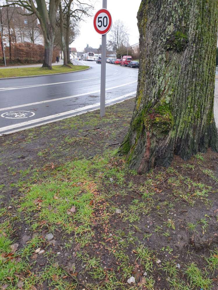 Giftköder-Rattengift am Baum Graffring 55/Stensstr-Profilbild