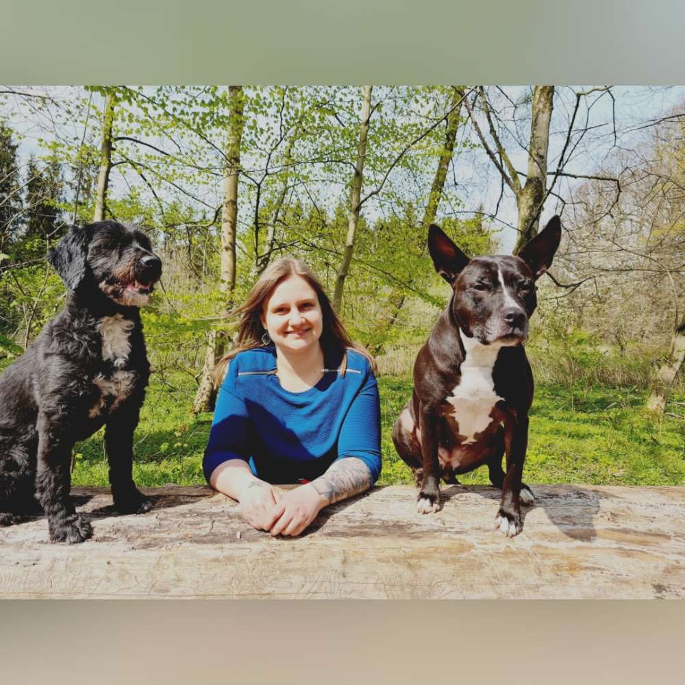 Hundetreffen-Gemeinsame Spaziergänge 🐶🐶-Profilbild