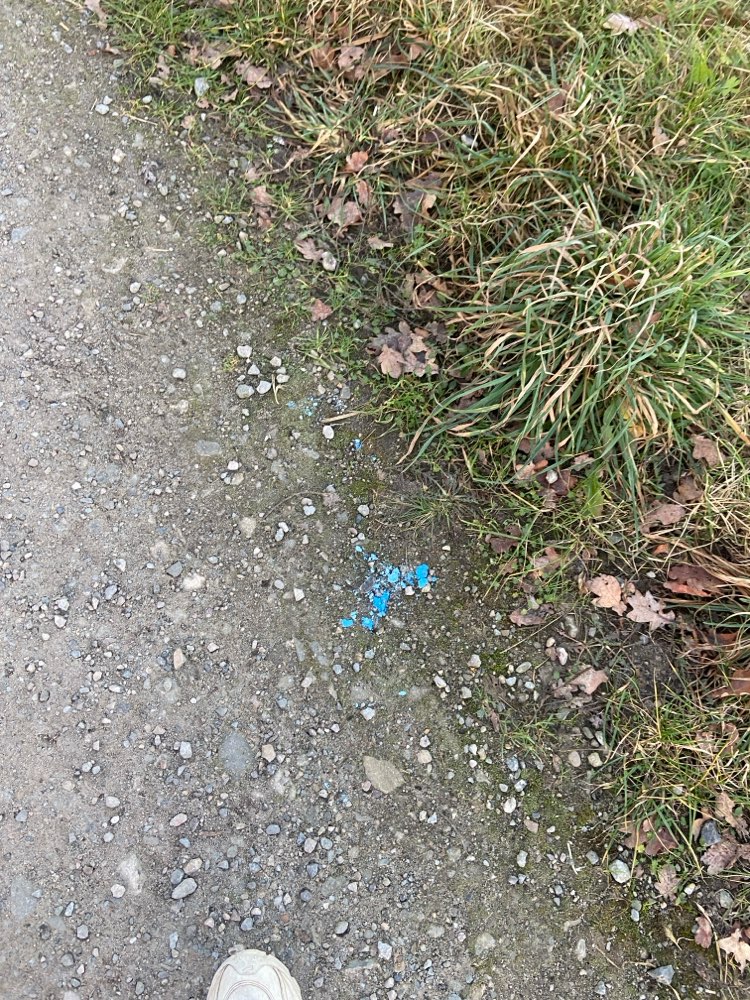 Giftköder-Rattengift-Profilbild