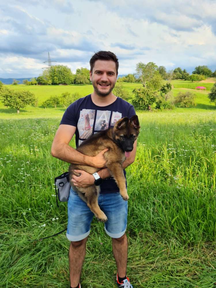 Hundetreffen-Vierbeinertreffen-Profilbild