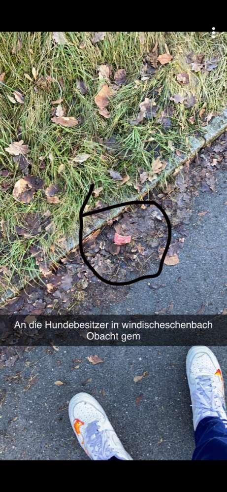 Giftköder-Giftköder-Profilbild