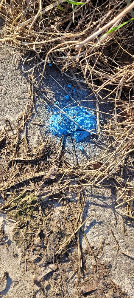 Giftköder-Giftköder-Profilbild