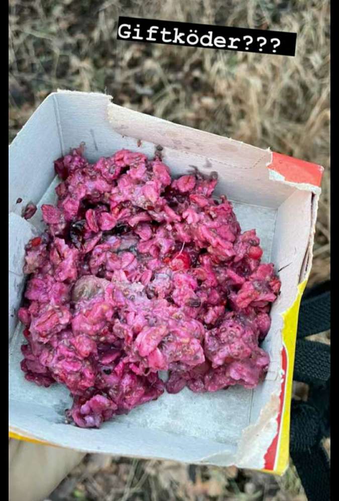 Giftköder-Giftköder-Profilbild