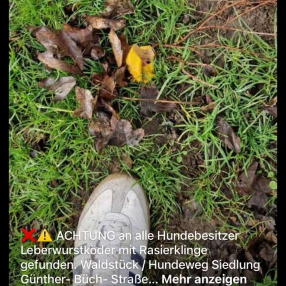 Giftköder-Leberwurstköder und Rasierklingen-Profilbild