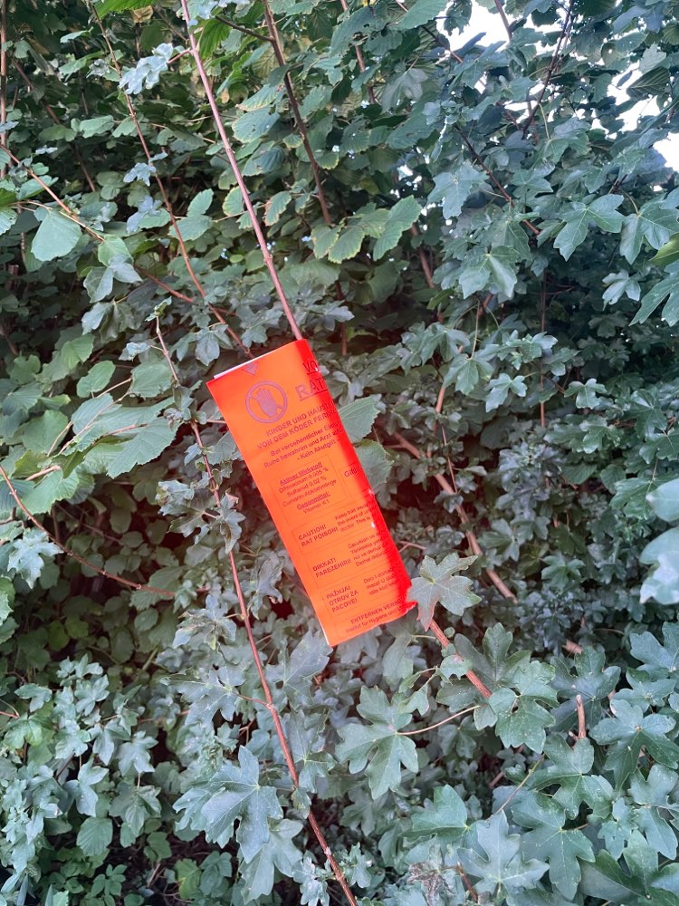 Giftköder-Rattengift Warnung-Profilbild