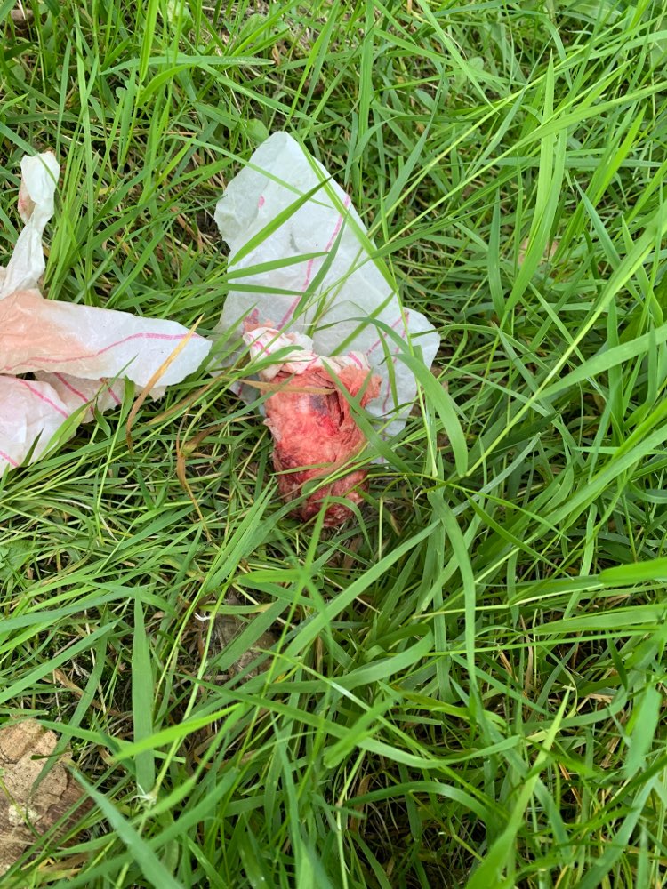 Giftköder-Giftköder?-Profilbild