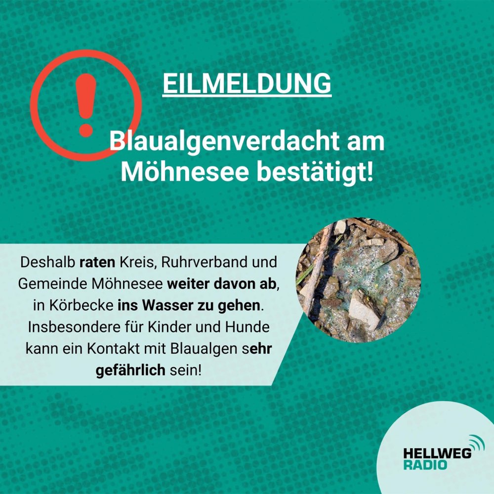 Giftköder-Blaualgengefahr-Profilbild