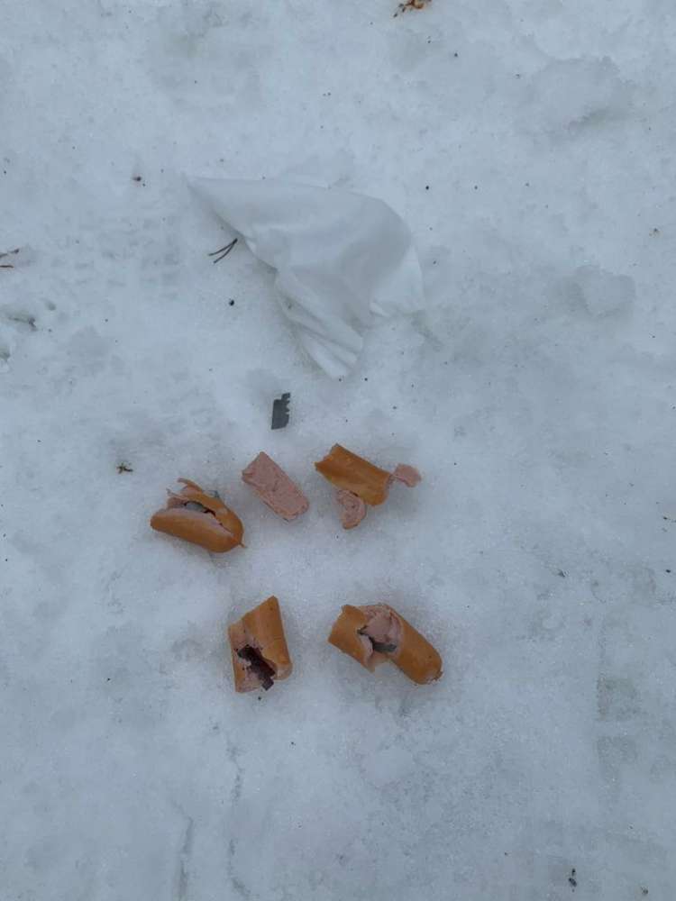 Giftköder-Rasierklingen in Wurst-Profilbild