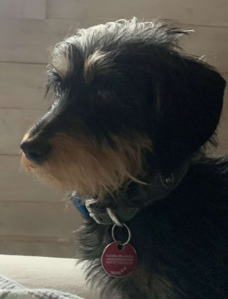 Suchmeldung-Zoey-Profilbild