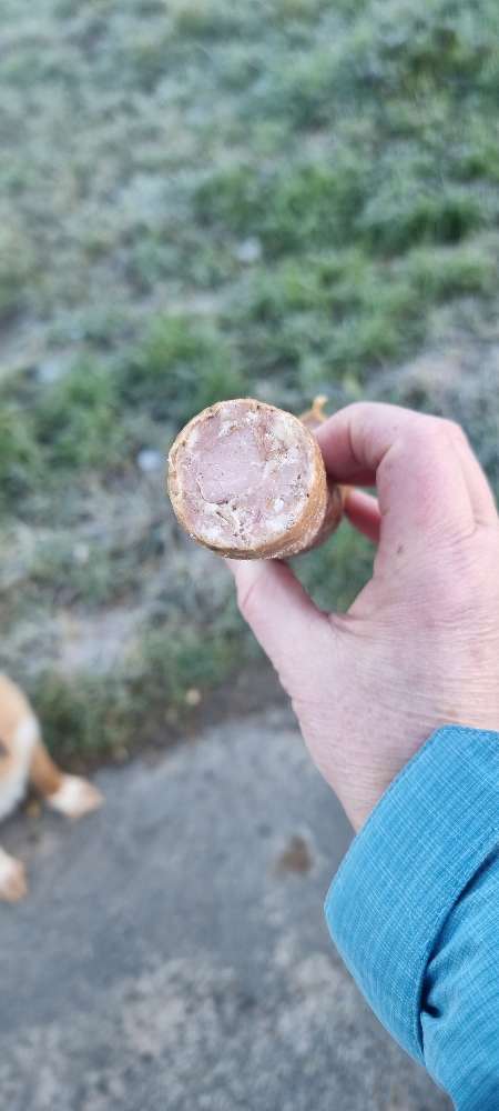 Giftköder-Vermutlich Giftköder-Profilbild