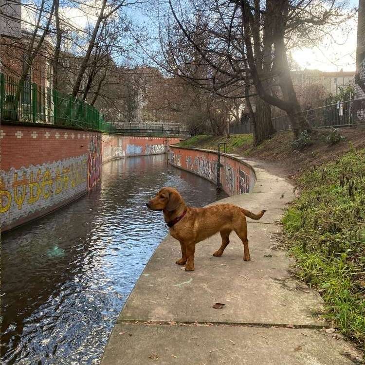 Suchmeldung-Bärbel-Profilbild