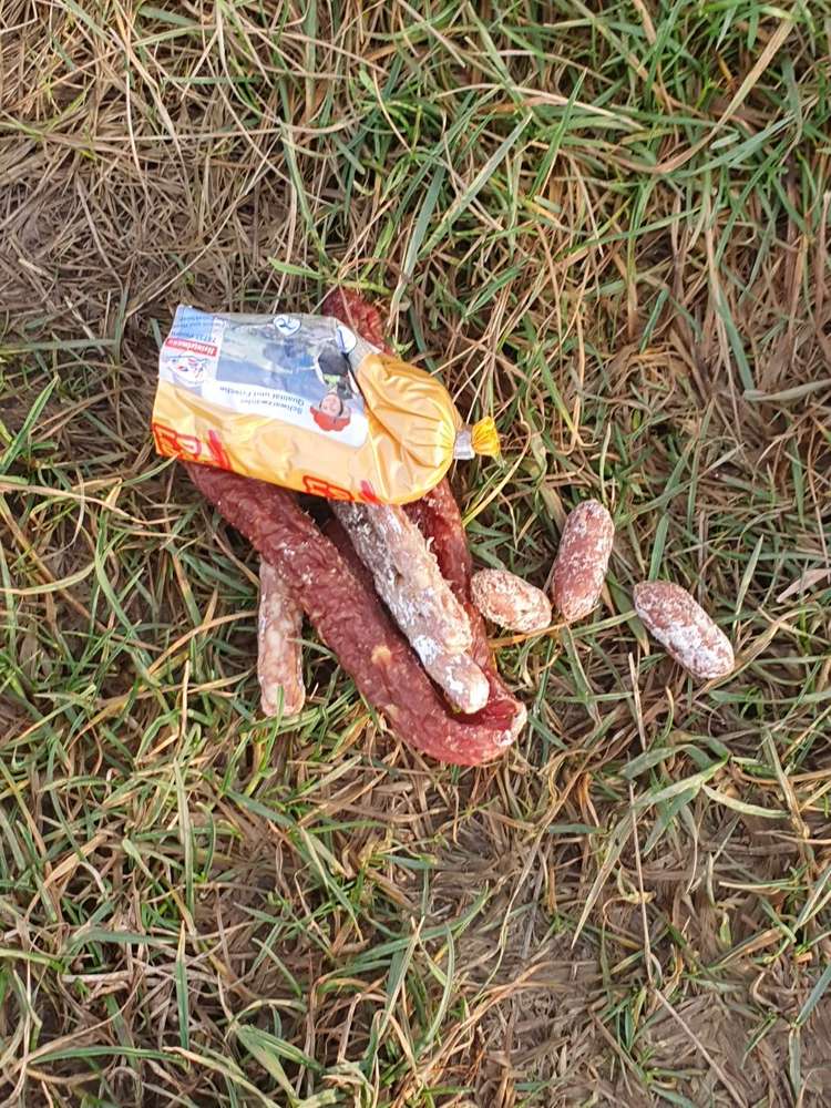 Giftköder-Ausgelegte würste-Profilbild